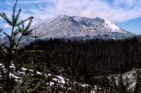 Mt Saint Helens